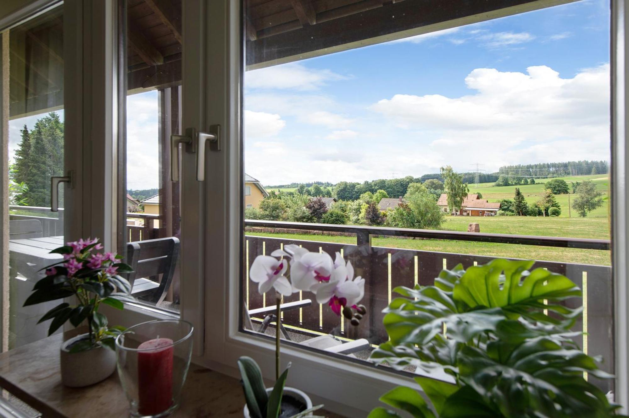 Ado Ferienwohnung Grafenhausen Esterno foto